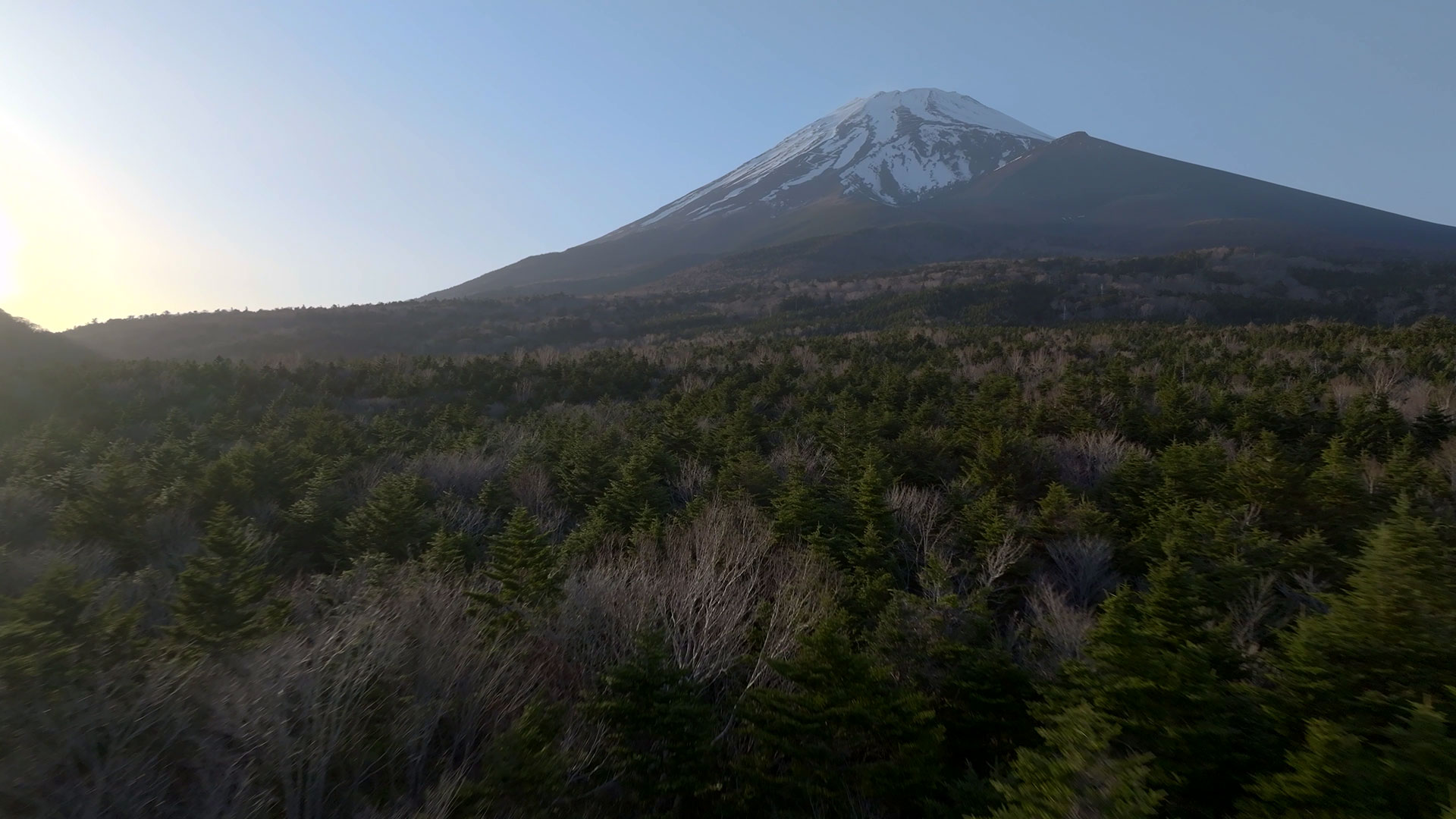 富士山2合目付近 静岡側101