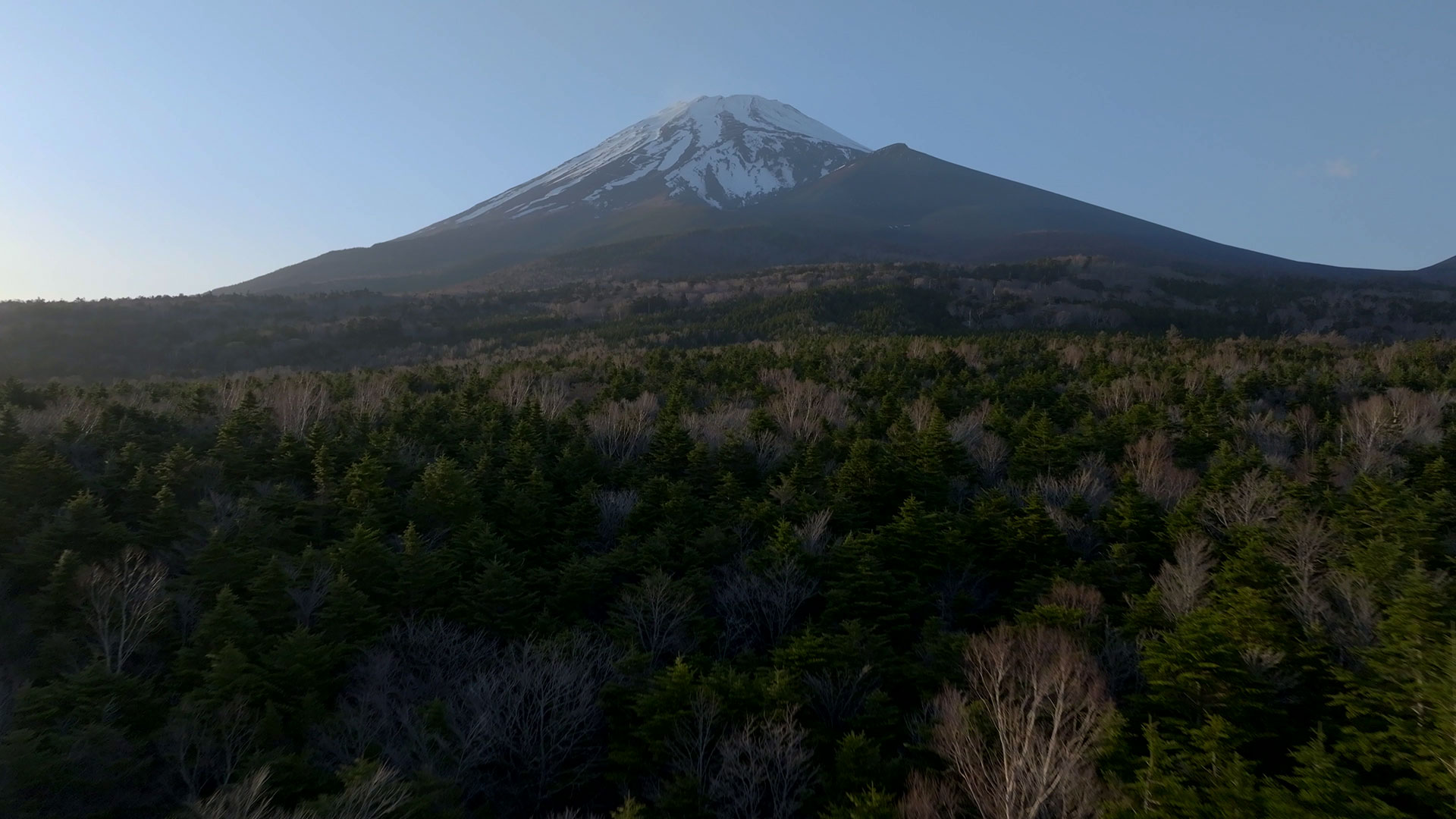 富士山2合目付近 静岡側103