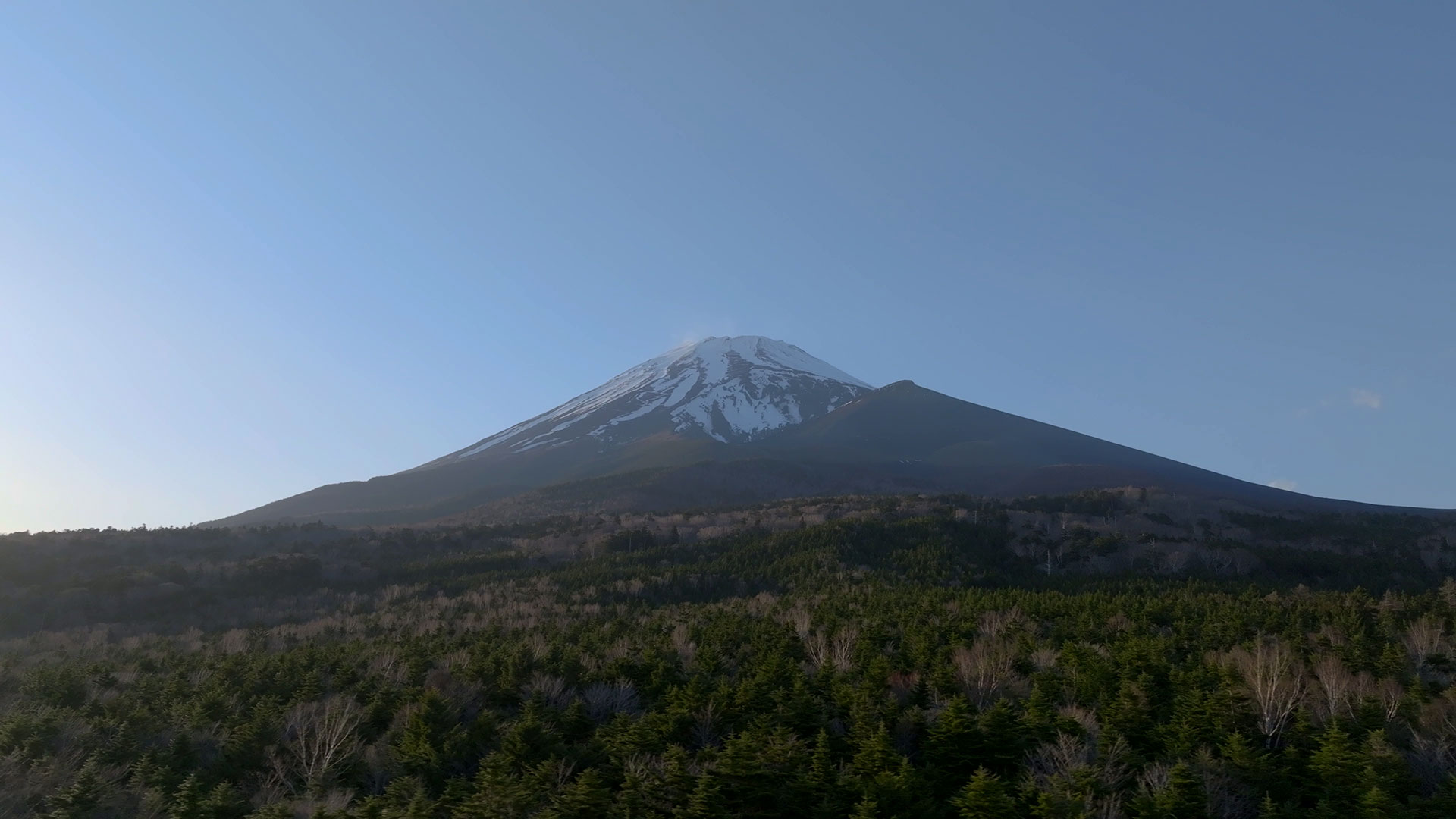 富士山2合目付近 静岡側104