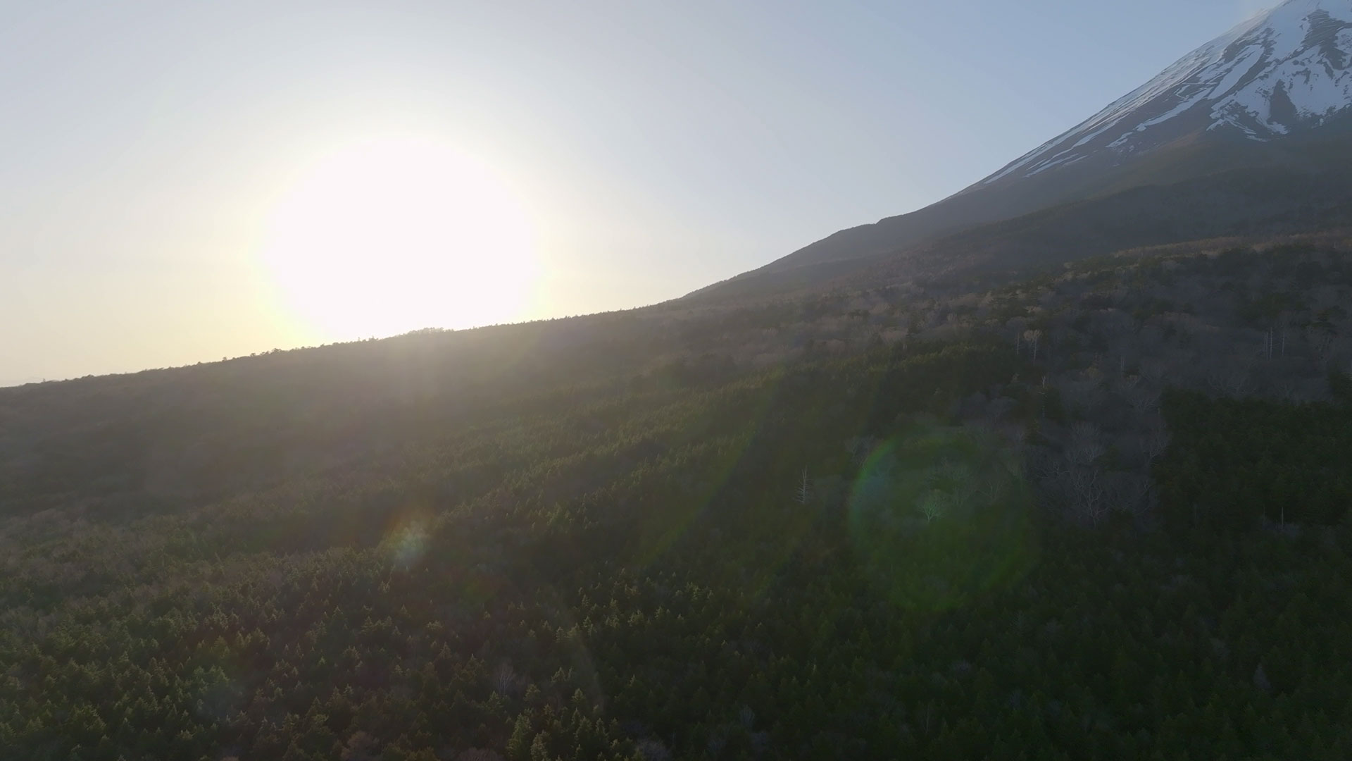 富士山2合目付近 静岡側105