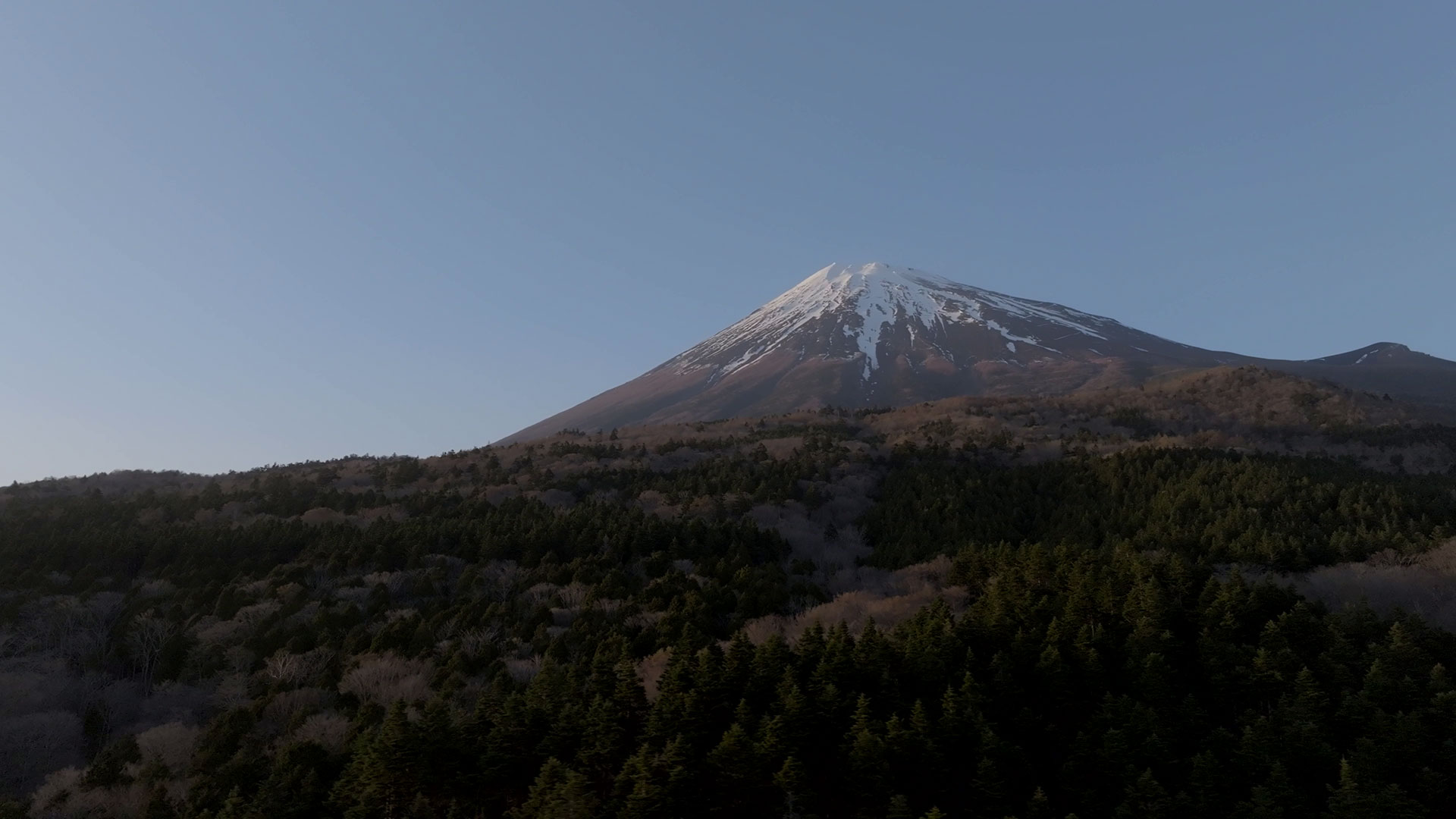 富士山2合目付近 静岡側202