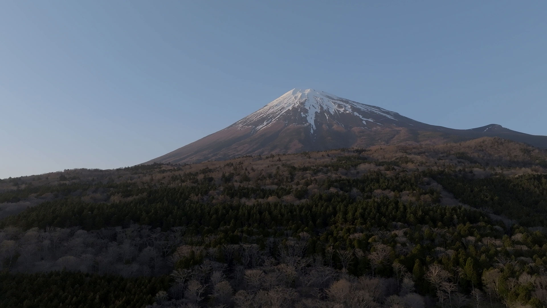 富士山2合目付近 静岡側203